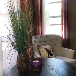 Plant, quickly adds comfy feeling to any room.